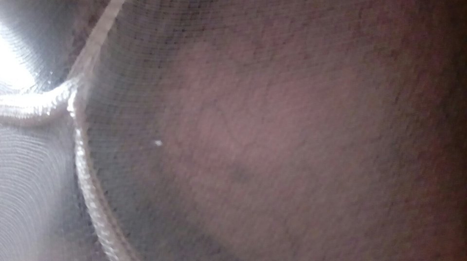 20160929_140617.jpg - Kamilia