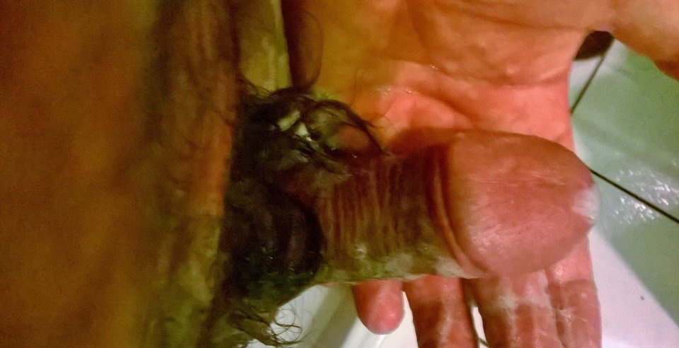 WP_20161004_10_43_10_Pro.jpg - bono49