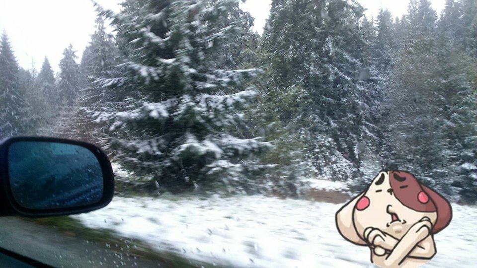 edited_DSC_0583.jpg - misiaki2016