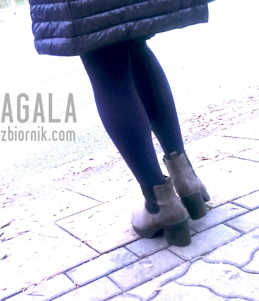 DSC_8549kol.jpg - AGALA