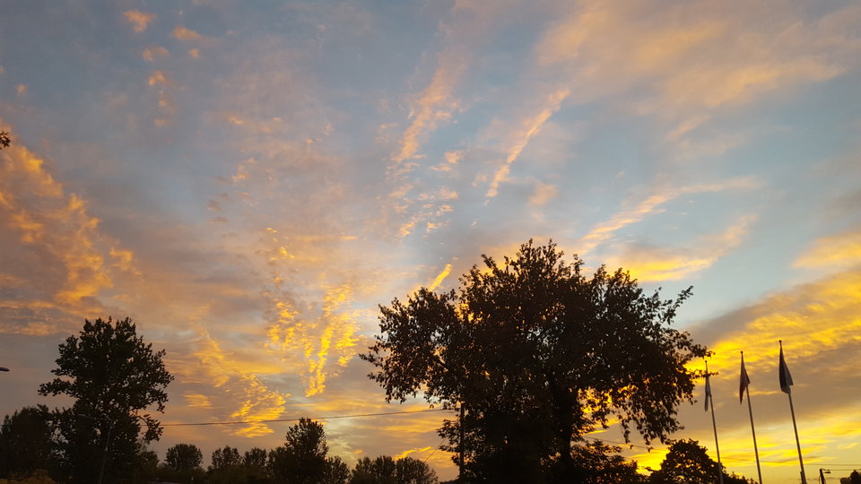 szkoda że trzeba tak rano wstać zeby zobaczyć takie cuda :) - trolsome