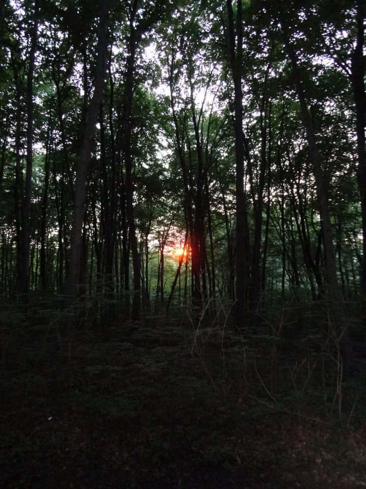 Krajobraz - realistka23