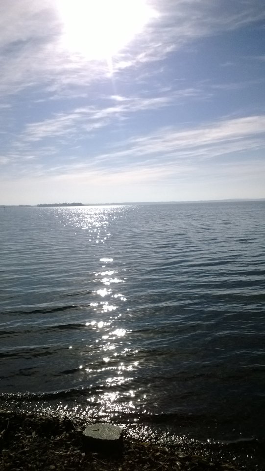 WP_20161014_039.jpg - Ratl