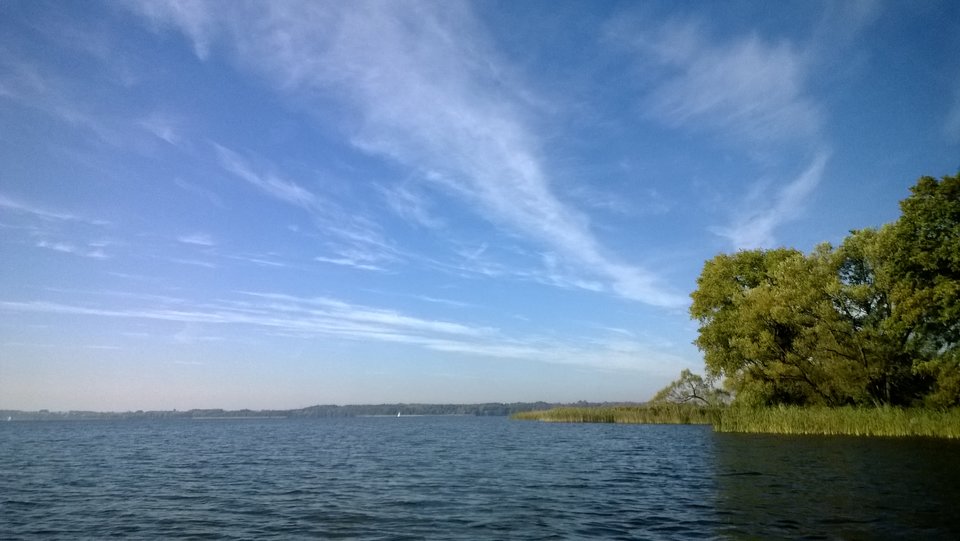 WP_20161014_044.jpg - Ratl