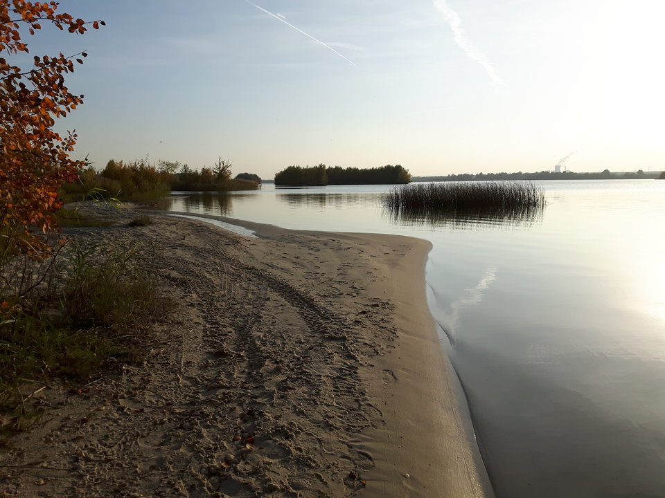 20161015_164200[1].jpg - rafixxx1