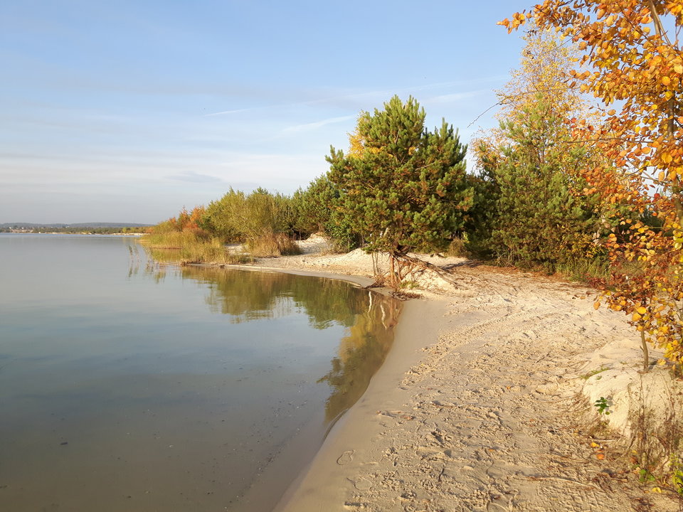 20161015_164210[1].jpg - rafixxx1