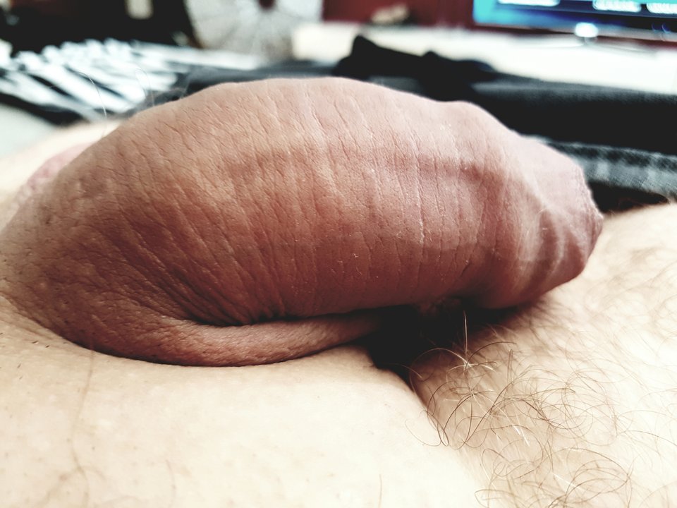 Śpioszek ;-) - wariacikiii