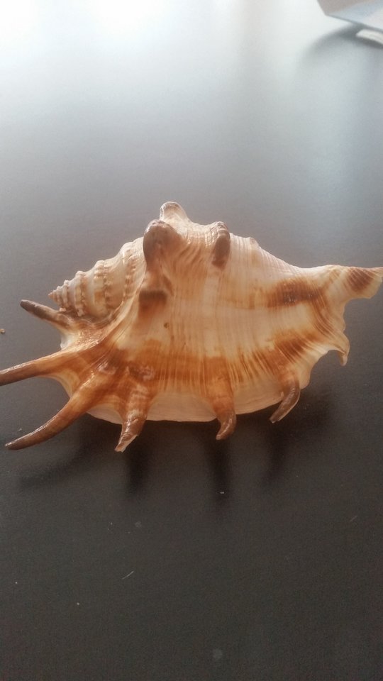 20160924_140830.jpg - Milionerka