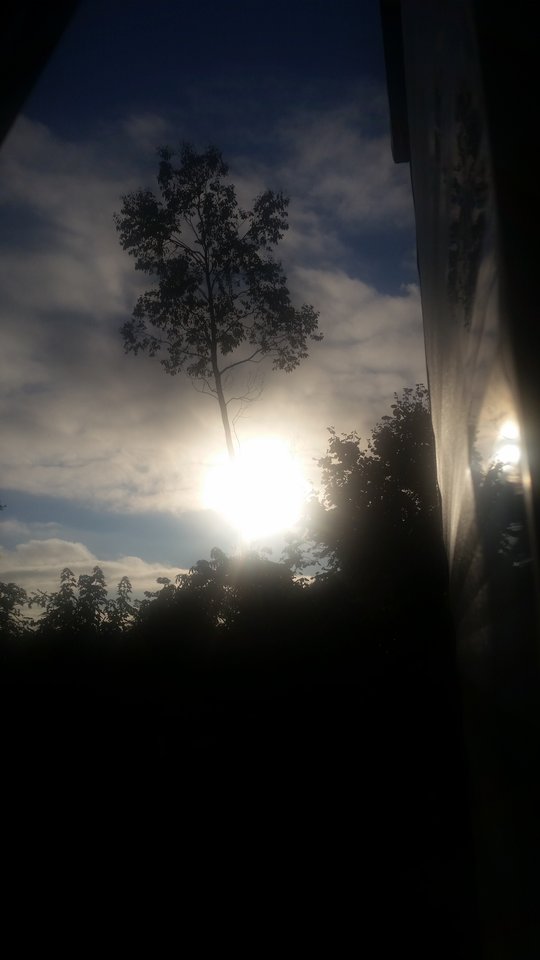 20160830_074522.jpg - Milionerka