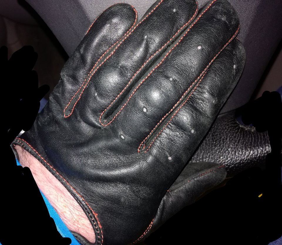 moje ulubione 1 - exstraparka3835