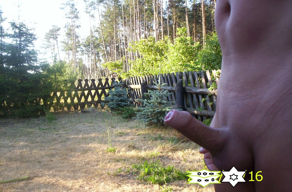 OBRAZ 354.jpg - pyry