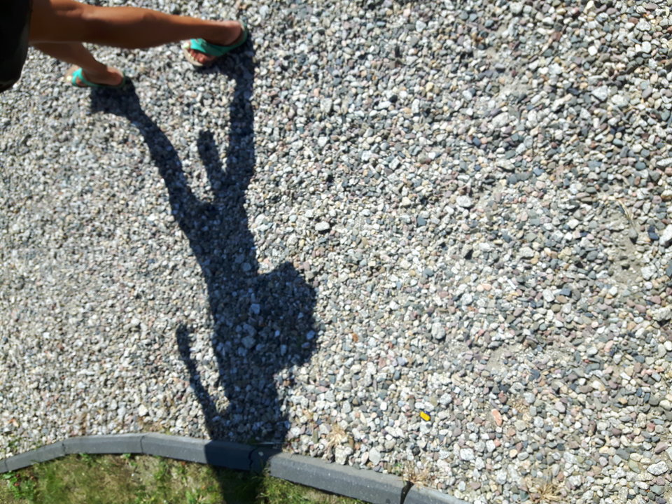 20160828_110354.jpg - fajna_parka