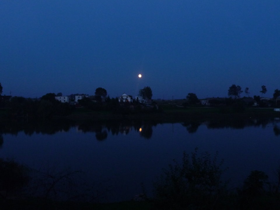 P1020708.JPG - boskii