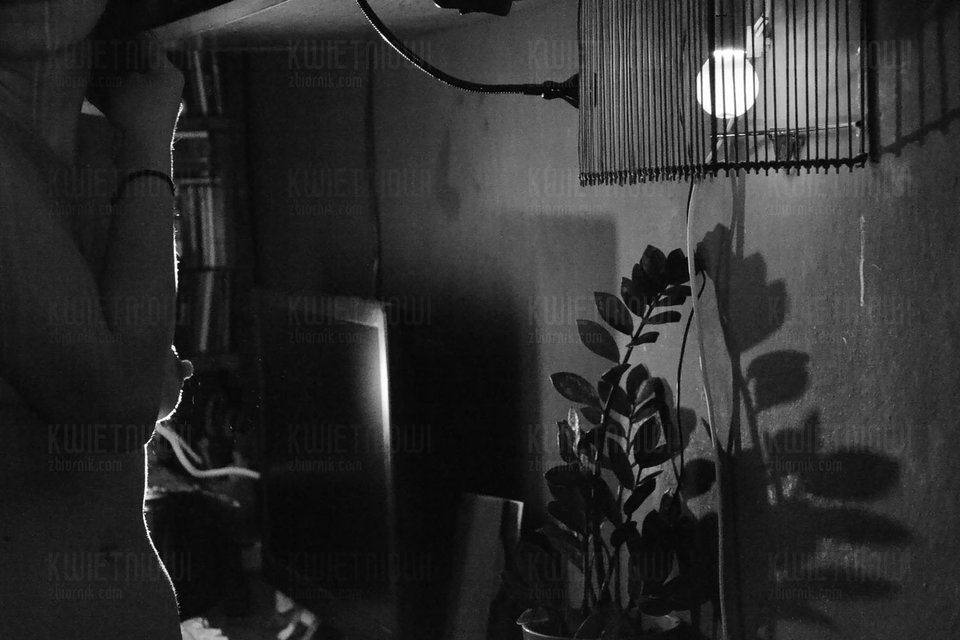 _DSC0173.JPG - kwietniowi