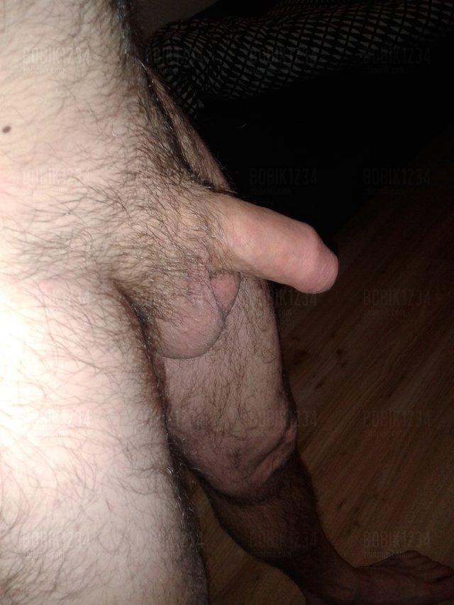 bobik1234