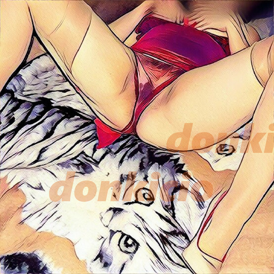 img_processed.jpg - donkicio