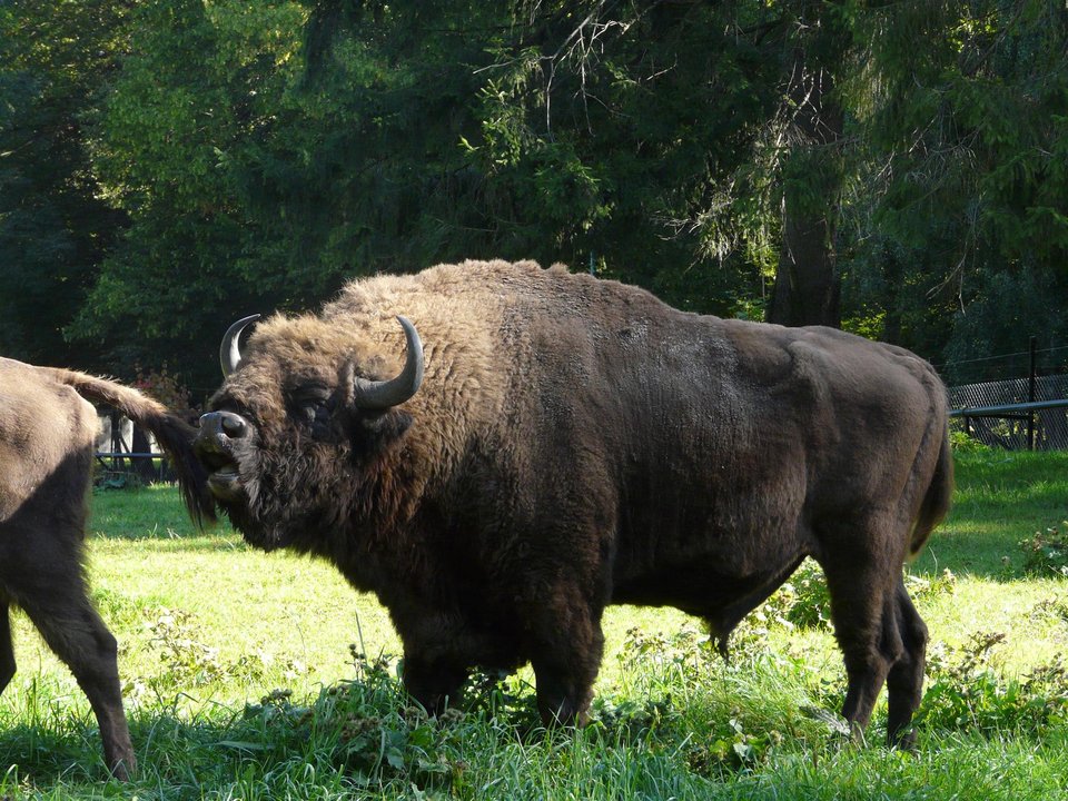 P1150267 (Custom).JPG - skrad_dleihs