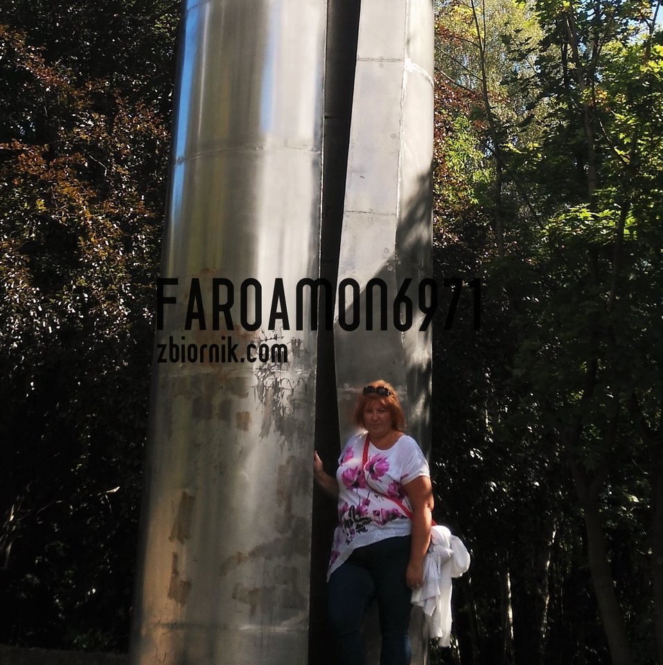 IMG_20160902_131001.jpg - faroamon6971