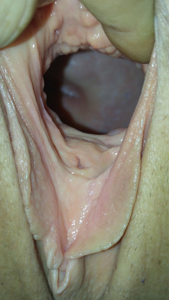 IMG_20161116_050543[1].jpg - kleoihades