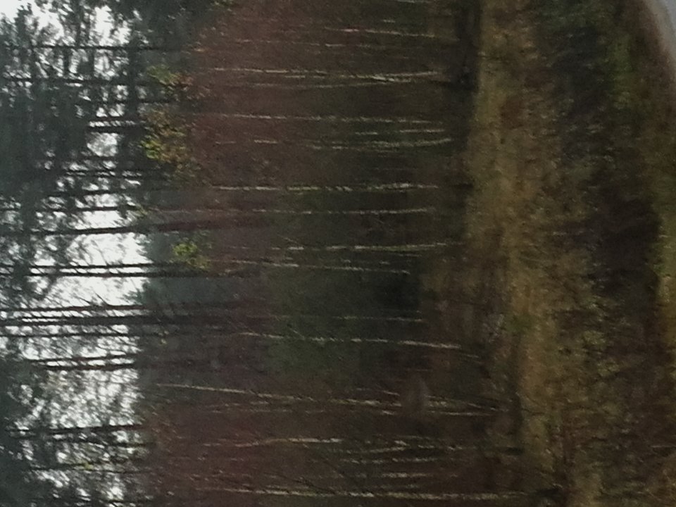 1479382160537-1875445714.jpg - RealnyMarcinekk