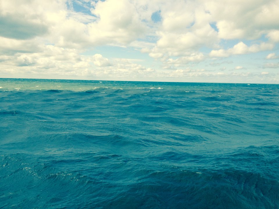 image.jpeg - GrzesWwa