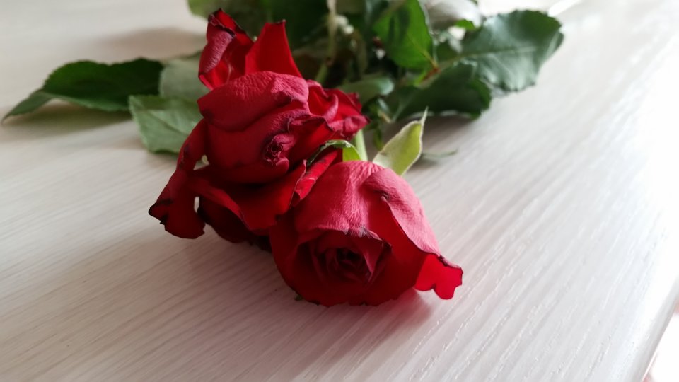 20161121_143050.jpg - Koralik66