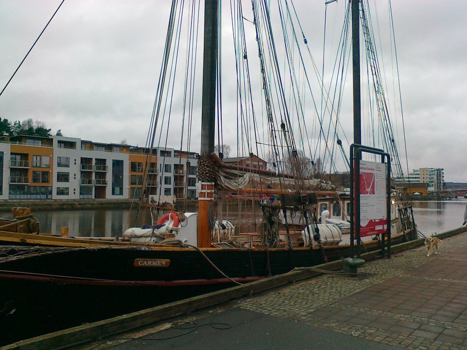 Przy nabrzeżu - falcons