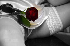 Chcesz Ten Płatek Róży ???