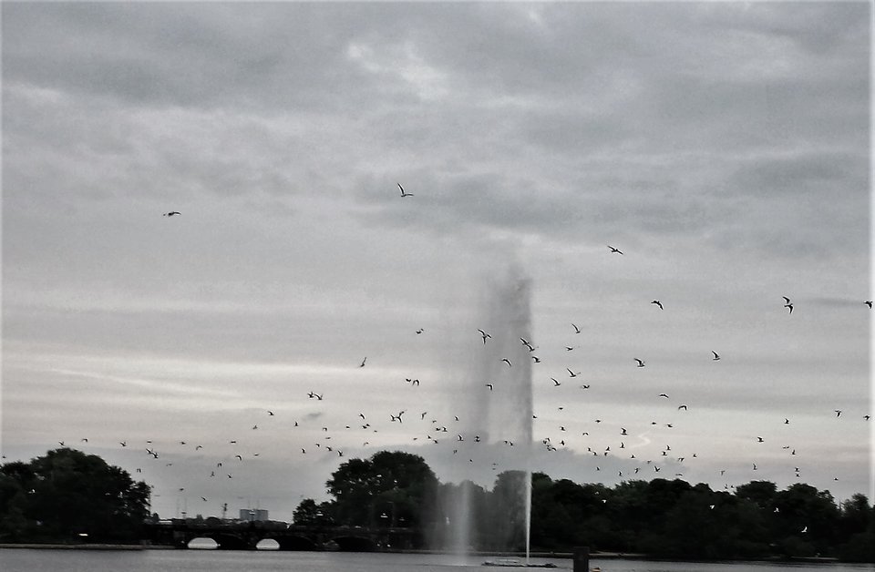 Alster. Hamburg - Jack061