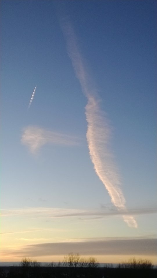 WP_20161129_038.jpg - Ratl