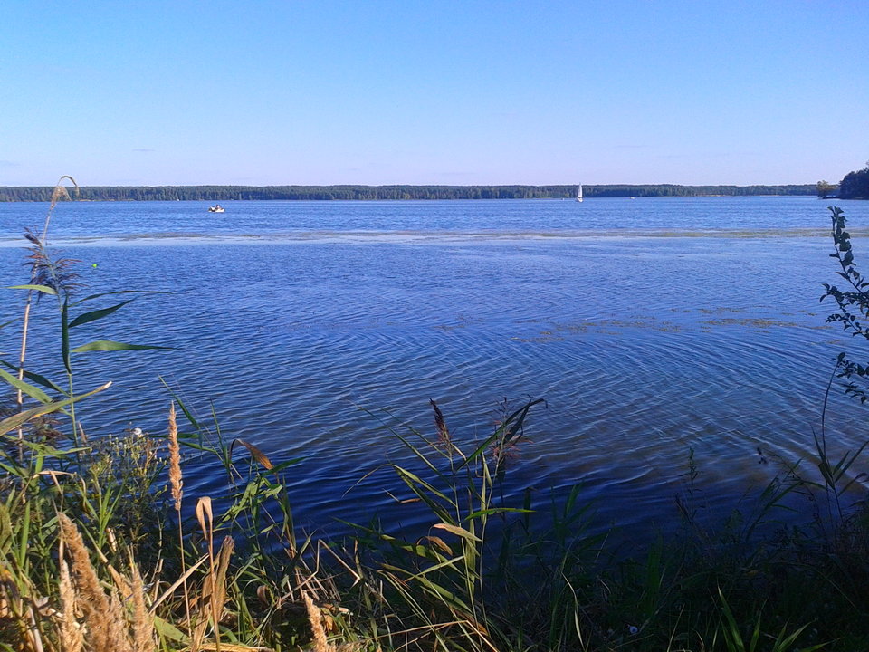 Zdjęcie-0028.jpg - lookin_