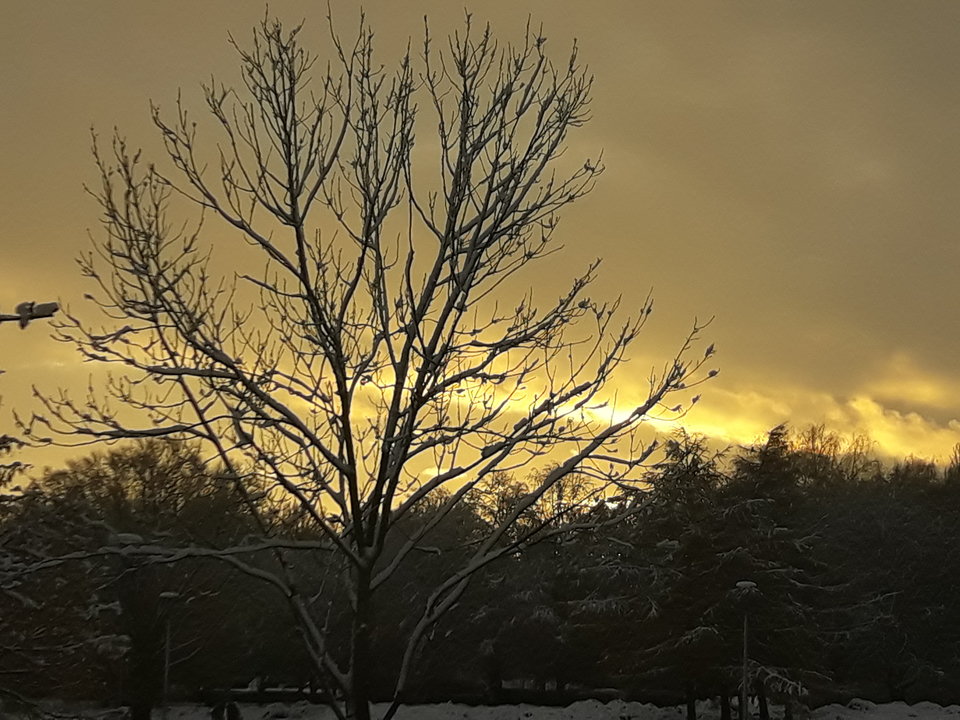 20161202_150323[1].jpg - arczi_68