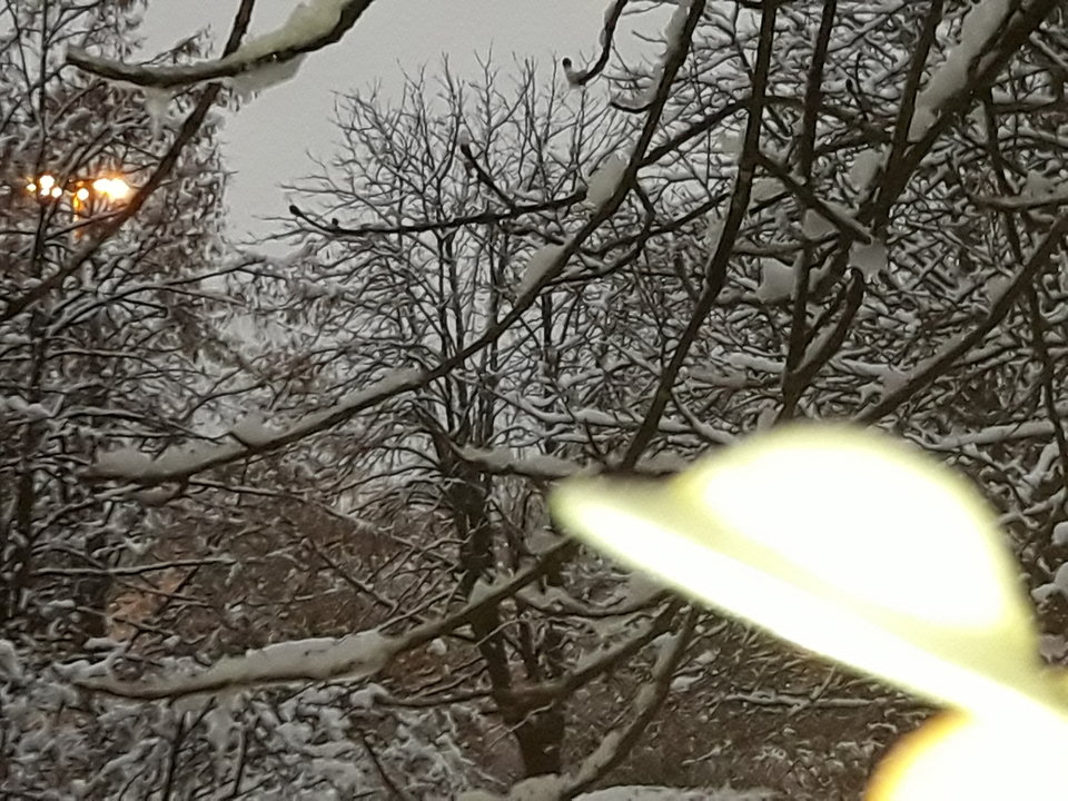 uchwycony moment spotkania z obcą cywilizacją... - arczi_68