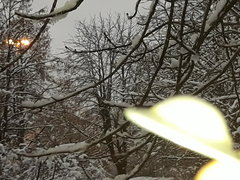 uchwycony moment spotkania z obcą cywilizacją...