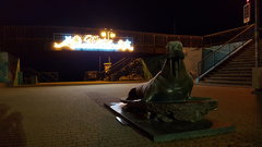 Mielno, godz. 6'00 - 7'30 (5)