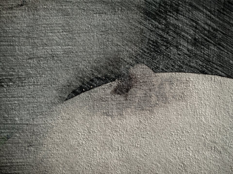 PaperArtist_2016-12-12_10-49-45.jpeg - slodkamisiunia