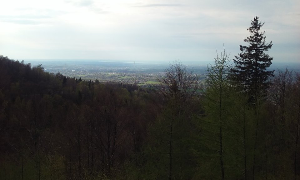 20160417_163111.jpg - czarny799