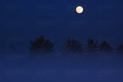 wspomnienie poprzedniej zimy