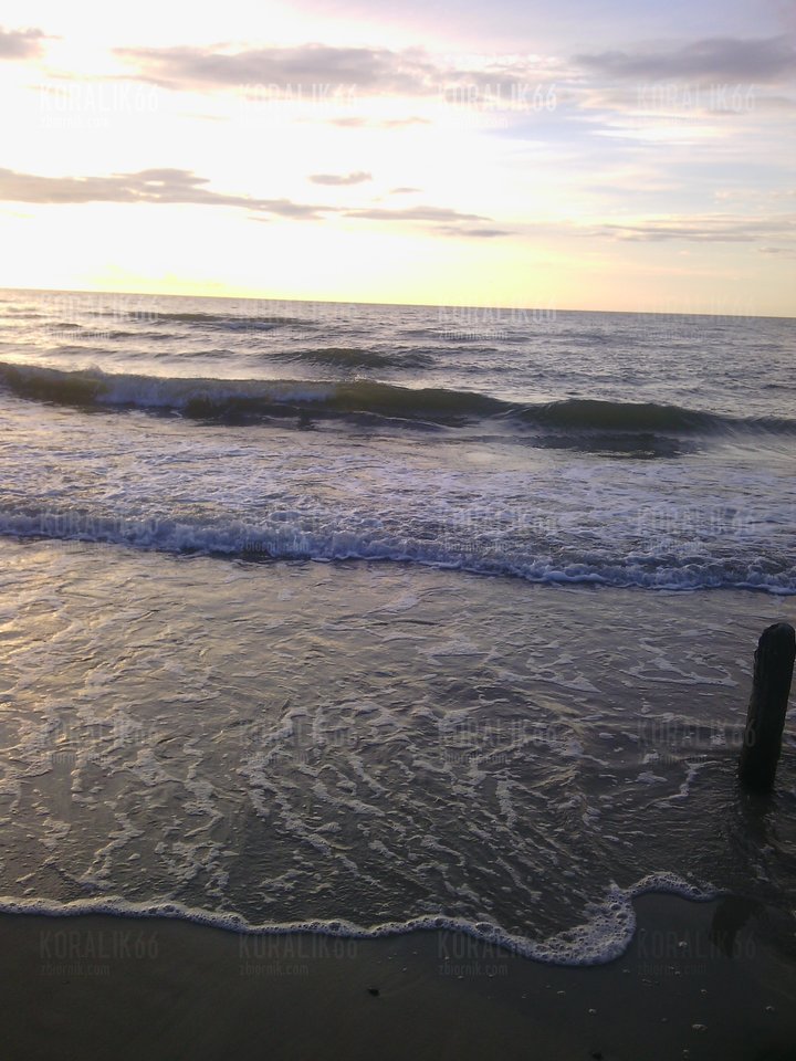 IMG_20140701_204359.jpg - Koralik66