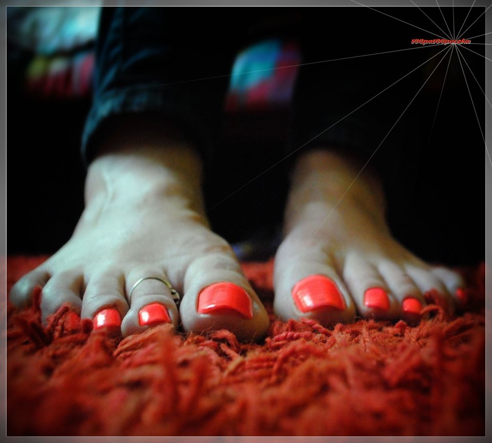 sweet orange #71 - 100pa100peczka