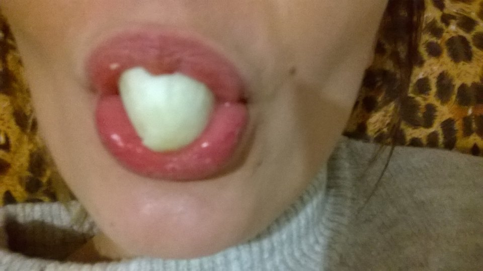 15541017_603115613232283_4127451389997904655_o.jpg - bungawro