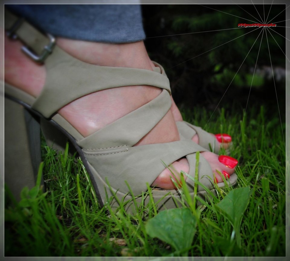 Szare III 48 - 100pa100peczka