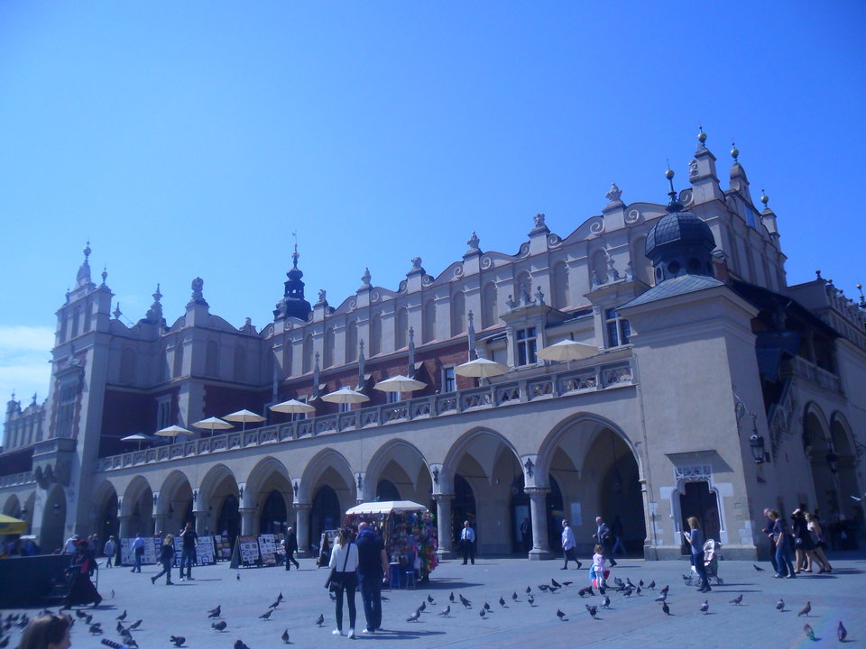 SAM_2944.JPG - Patrick113