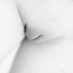 _DSC0510.jpg