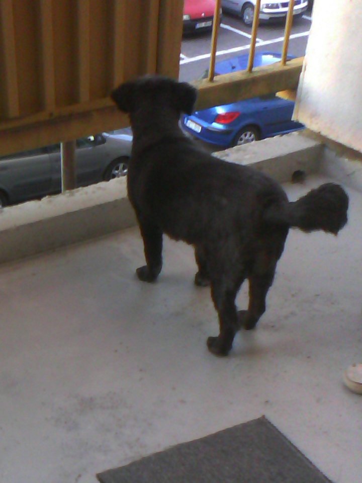 IMG_20150730_202123.jpg - kysperak