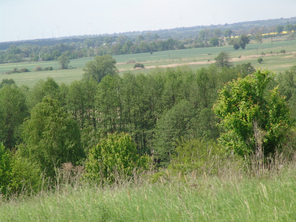 DSC08270.JPG - Kamilia