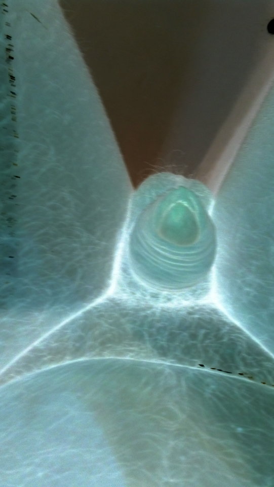 IMG_20170104_070109.jpg - matuzalem000