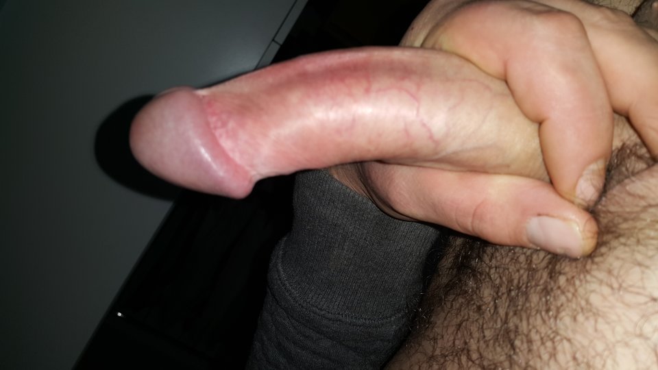 20170108_105207.jpg - banditor