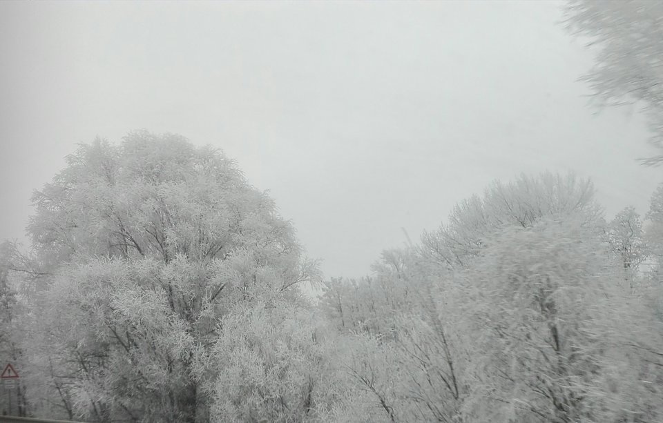 zimowy spacer - PanzKrakowa49