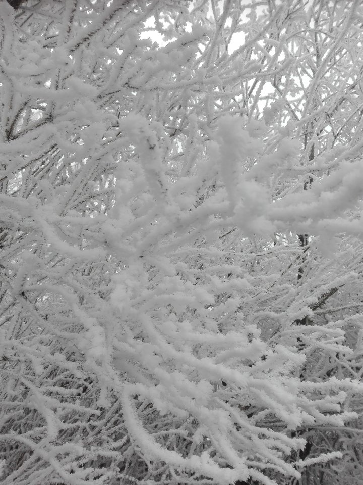 Zima - PanzKrakowa49